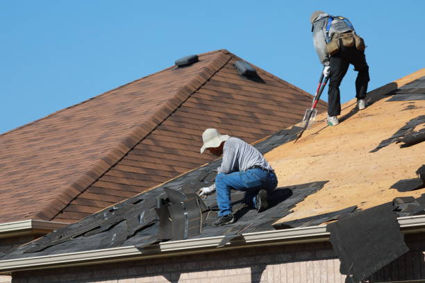 Best Rubber Roofing (EPDM, TPO)  in Rising Sun Lebanon, DE