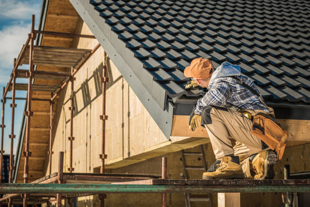 Best Sheet Metal Roofing  in Rising Sun Lebanon, DE