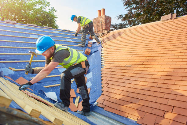 Professional Roofing services in Rising Sun Lebanon, DE